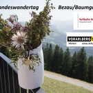 Verein VORALBERG 50plus Traumhafter 28. Landeswandertag in Bezau/Baumgarten