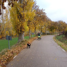 0023 18_ November 2022_ auf dem Jakobsweg nach Santiago de Compostela_ Spanien.JPG