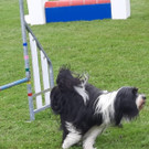 IMG-20230812-WA0006.jpg