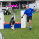 IMG-20230812-WA0007.jpg