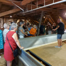 Hopfenmuseum Tettnang