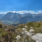 Bild 4 Engadin.jpeg
