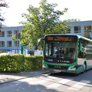 504_Linie_n.jpg