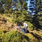 IMG_20230819_095457.jpg