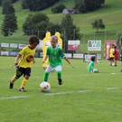 IMG_8230.jpg