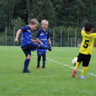 IMG_8243.jpg