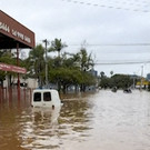 AFP_33UE9PF.jpg
