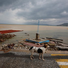 2023-09-07T082626Z_1065518912_RC2I33AK55HP_RTRMADP_3_EUROPE-WEATHER-GREECE-STORM.JPG