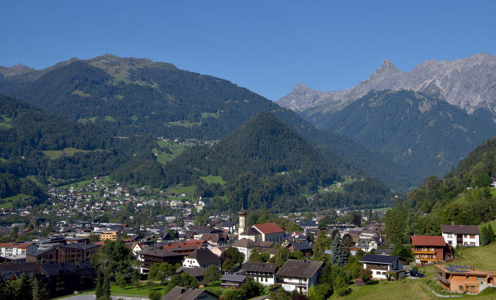 DSC_0335 5.JPG