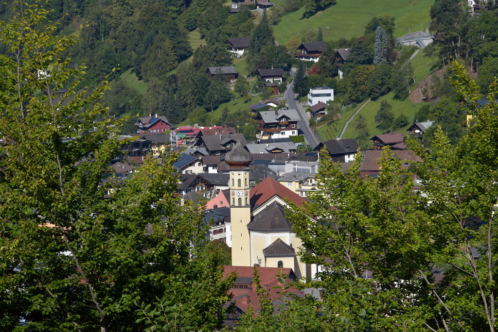 DSC_0382 11.JPG