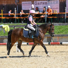 Elina Burtscher - Willi - Foto Waschb__r.jpeg