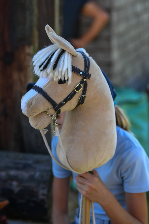Steckenpferd - Foto Waschb__r.jpeg