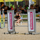 Lea Schedler - Steckenpferd Soraya - Foto Waschb__r.jpeg