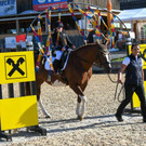 Vivienne und Jasmin Steurer Steurer - Daria - Foto Waschb__r_.jpeg