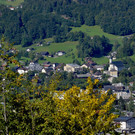 DSC_0384 8.JPG
