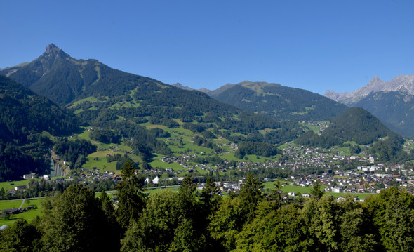 DSC_0404 5.JPG