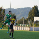 DSC02011a.jpg