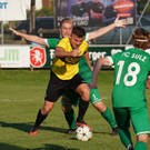 DSC01377a.jpg