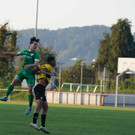 DSC02011a.jpg