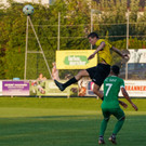 DSC02210a.jpg