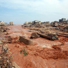 AFP_33UZ7ZW_1.jpg