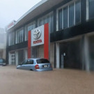 AFP_33UX3YZ.jpg