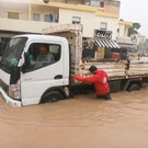 AFP_33V24MD.jpg