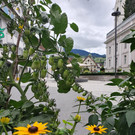 20230806_113420.jpg