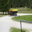 DSC07805.JPG