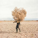 World Press Photo 2023