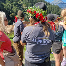AlpeNova6.jpg