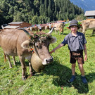 AlpeNova8.jpg
