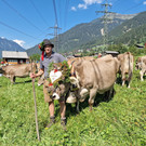 AlpeNova10_1.jpg