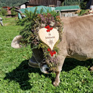 AlpeNova14.jpg