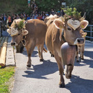 AlpeNova16.jpg