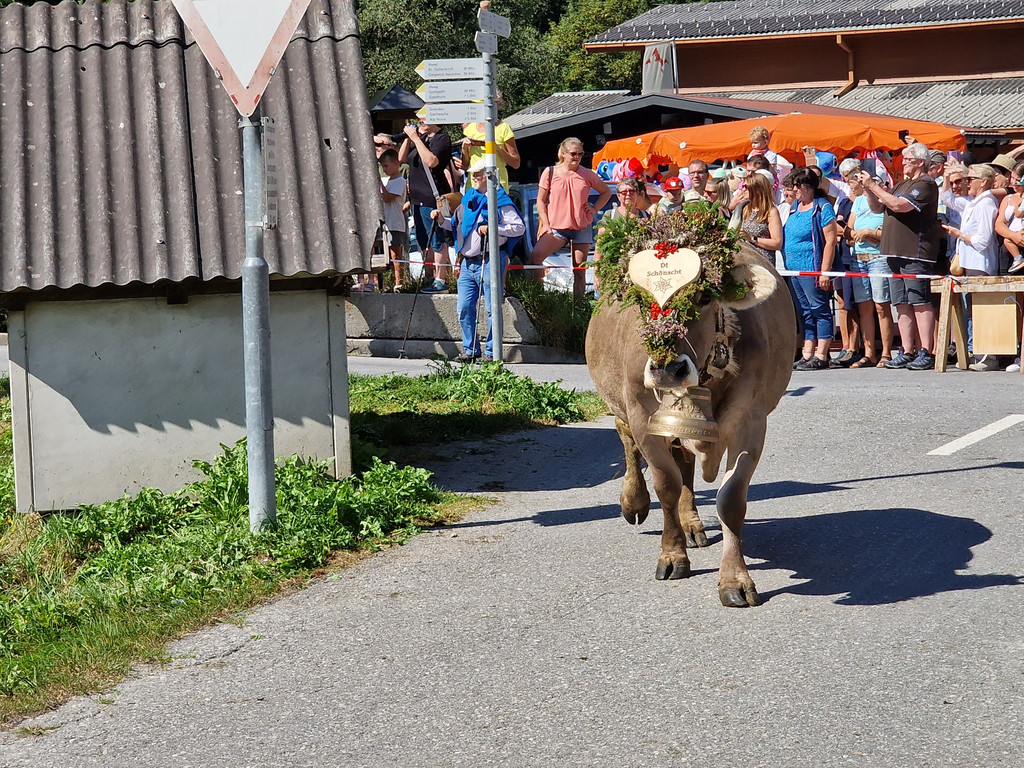 AlpeNova21.jpg