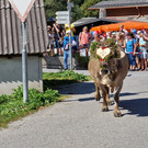AlpeNova21.jpg