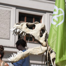 DSC_0051.JPG