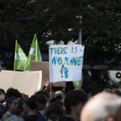 DSC_0065.JPG