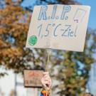 Vienna_at _66 von 79_.JPG