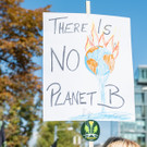 Vienna_at _76 von 79_.JPG