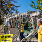 Vienna_at _93 von 79_.JPG