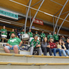 DSC03339.JPG