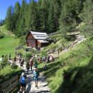 IMG_9140.JPG