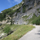 IMG_9150.JPG