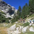 IMG_9208.JPG