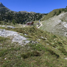 IMG_9229.JPG