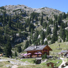 IMG_9231.JPG