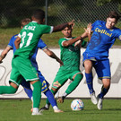 DSC02868a.jpg