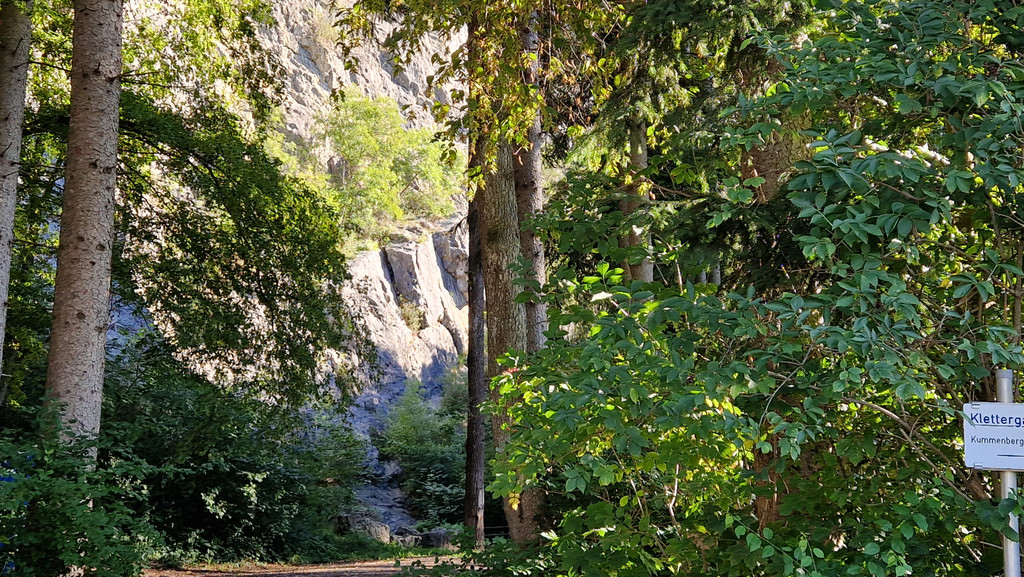 20230920_094742.jpg